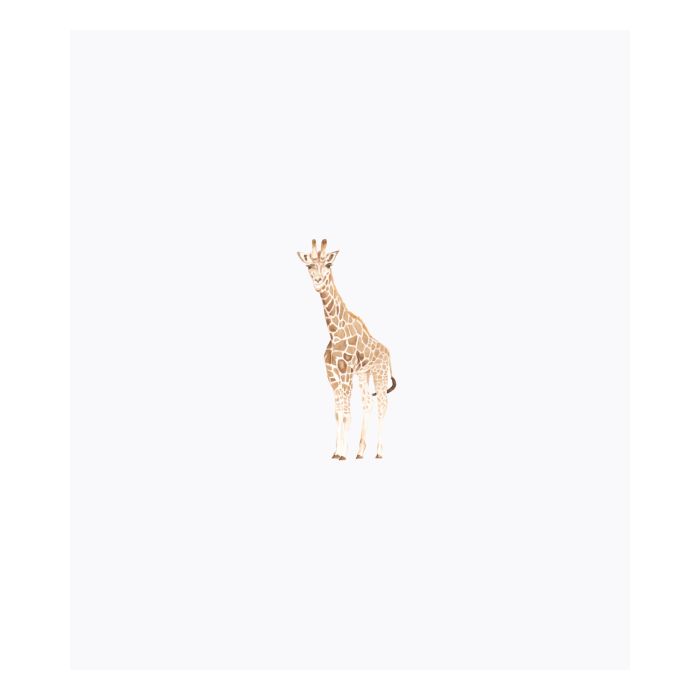 Giraffe Linen Baby Blanket